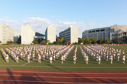 温州市翔宇中学校园美景作文