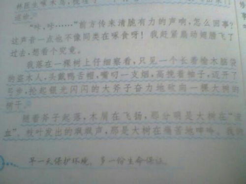 校园一角作文写银杏树400字