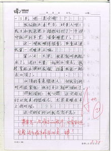 校园书亭作文乐乐课堂