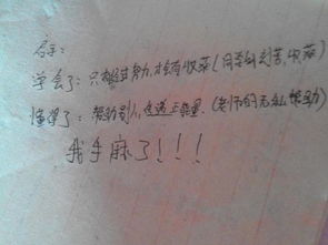 与校园里的那些回忆写篇作文