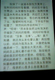 校园的景色真美作文300字三级