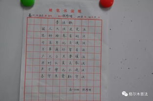 作文,宪法,进校园