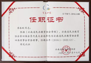 当我,作文,走进,初中