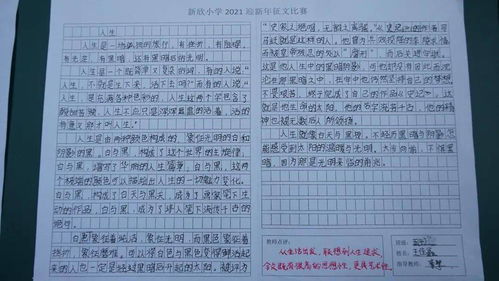 我们的校园作文中新小学