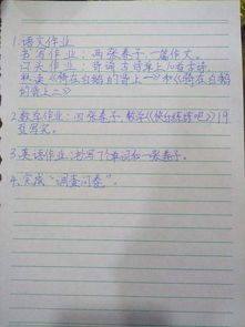 作文,国庆节,小学,校园