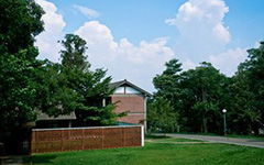 作文,这篇,校园