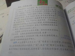 写南方冬天校园的作文三百字
