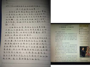 烈日炎炎下的校园作文450字,烈日炎炎下的校园作文500字,烈日炎炎下的校园作文600字