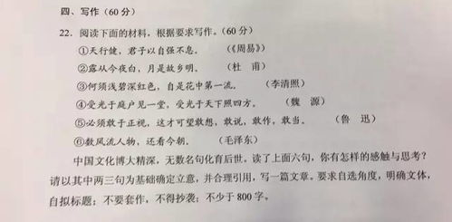 作文,回忆,校园