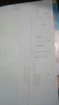 作文,可爱,校园