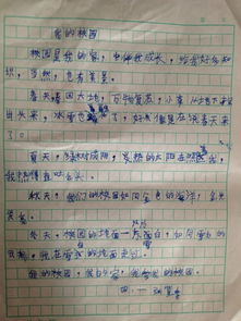 小学四年级我们的校园的作文怎么写,四年级作文我们的校园400字作文,我们的校园四年级300字作文怎么写