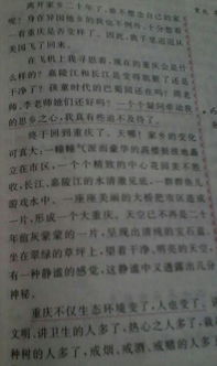 20后的校园1200字作文