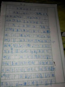 校园超市的坏处作文300字