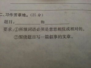 我们的校园四年级300字作文怎么写,我们的校园作文怎么写300字,我们的校园二年级作文怎么写