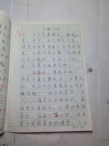 校园最难忘的一件事作文450字,校园最难忘的一件事作文500字,校园最难忘的一件事作文600字六年级