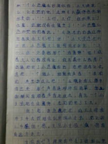 作文,校园生活,感动,乐和