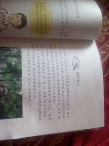 我眼中的校园写花草树木作文400字