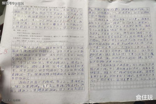 作文,魅力,足球,校园