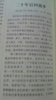 20年后的校园作文400字五年级,20年后的校园作文400字,20年后的校园作文400字五年级上册