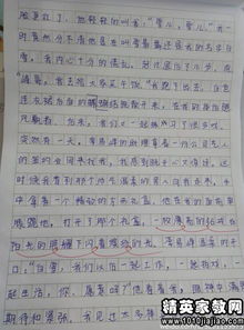 小学校园写景作文怎么写