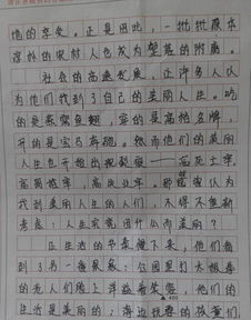 作文,开头,声音,校园