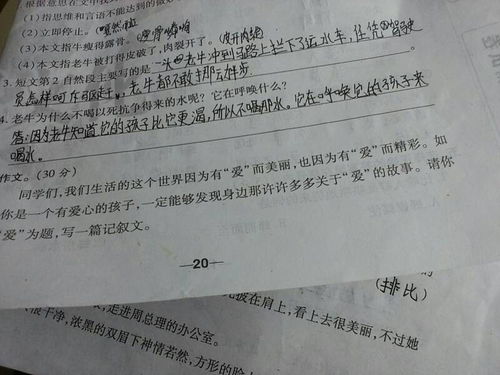 以我爱校园为话题的作文开头结尾