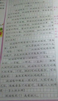 校园一景色作文400字作文