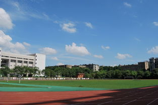 小学三级校园一角作文开头