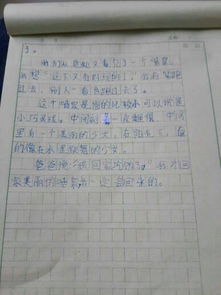 写学校校园一处的景物作文500字作文