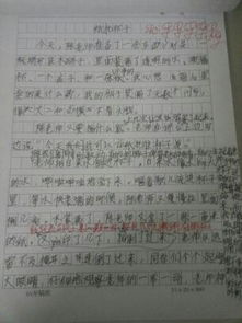 校园最美一角300字作文三级作文