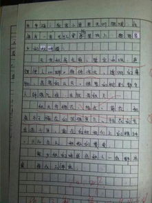 职高校园生活感受作文,我的职高校园生活作文,职高校园生活作文800字