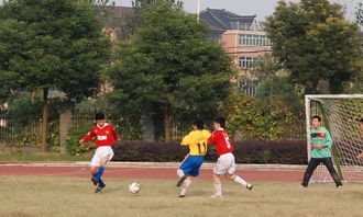 校园足球节作文400字以上,校园足球作文400字左右,关于校园足球的作文400字