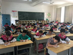 小学阳光校园主题作文