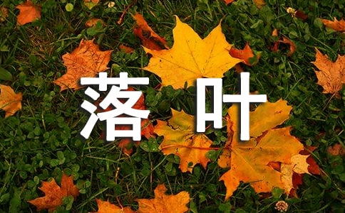 作文秋日漫步校园落叶
