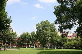 描写春天美景的作文600字,写春天美景的作文600字,春天的美景作文600字初中