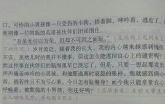 对不起…作文400字,xⅹ,对不起作文400字,谁对不起作文400字
