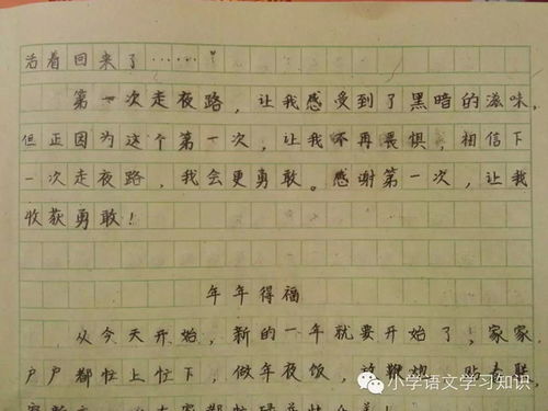 我仿佛第一次走过校园作文800字,我仿佛第一次走过校园作文散文,我仿佛第一次走过校园作文散文800字