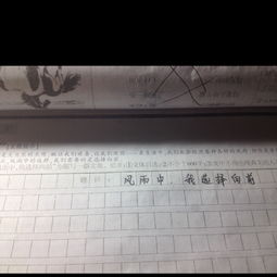 初一作文600字校园