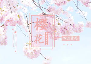 描写校园樱花树作文700字