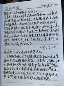 烈日炎炎下的校园作文三百字