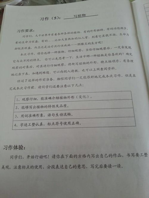 校园的变化四百字作文怎么写