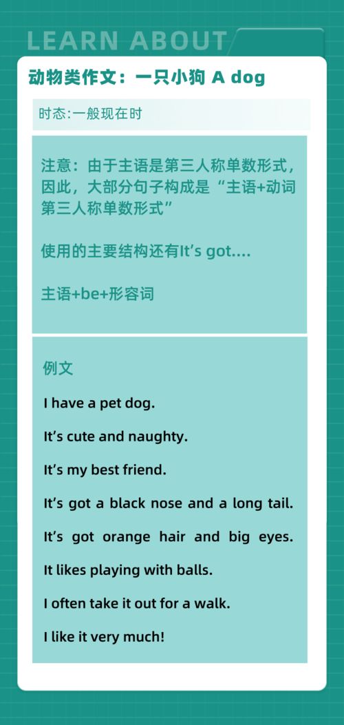 打造无纸屑校园作文