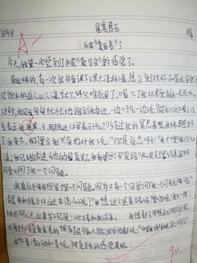 校园合作共成长作文