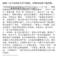 作文,文化活动,法治,策划