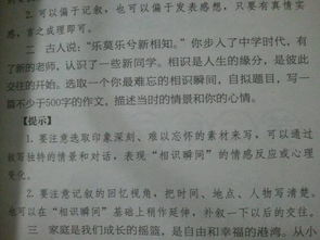 作文,丁香,校园,小说