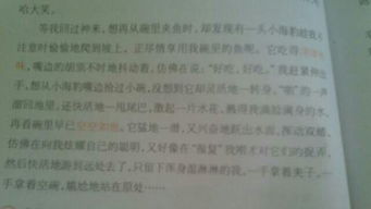未来的校园图书馆作文150字