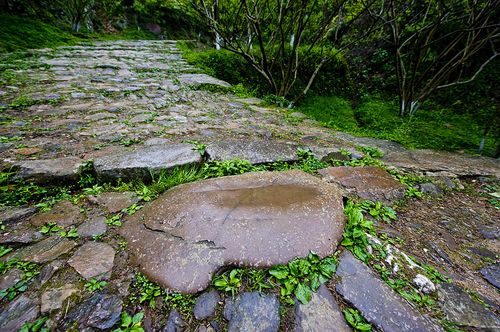 校园生活小作文400字作文