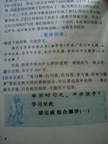 永远的校园800字作文