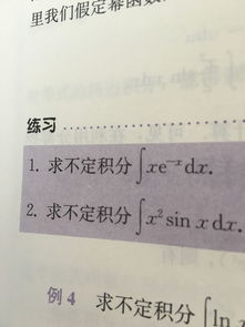 作文,校园生活,快乐,范文