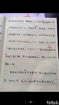 平语进校园小学生作文